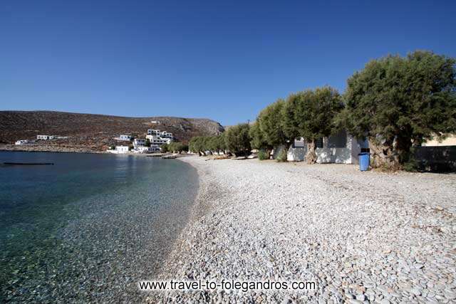 Chochlidia beach - View of the pine trees on Chochlidia beach